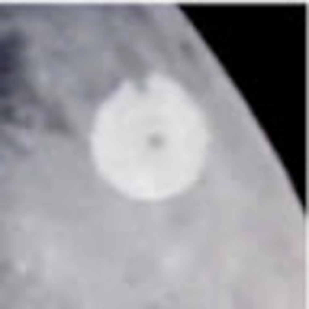 Meet your Posher, Dina